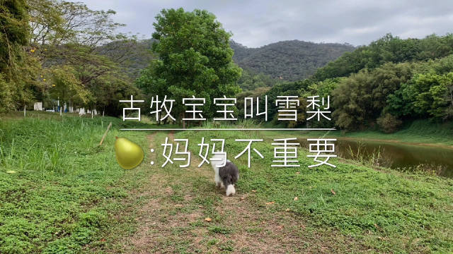 古牧宝宝shirley的成长日记